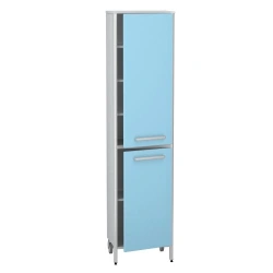 Cabinet for storage of medicines according to TU 32.50.30-007-32924160-2021, article number DM-3-101-04.K2.F3.