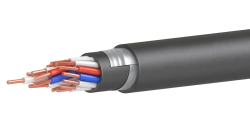 Control cable KVBBbShv