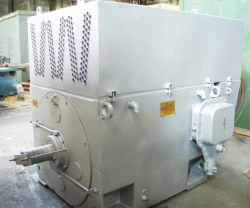 Three-phase asynchronous electric motor with squirrel cage rotor 2ADOT-250-6000-8U1M