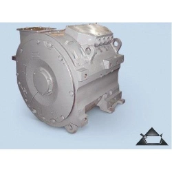 traction motor DTC-800E