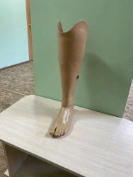 Tibial prosthesis for bathing PH3-87K