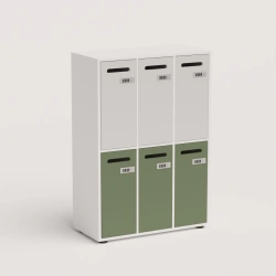 Locker for storing personal belongings with individual cells, SH-1