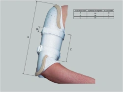 Shoulder joint apparatus