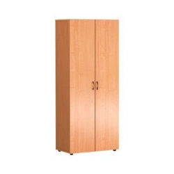Closed wide cupboard for documents (2 doors)