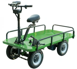 Platform electric trolley