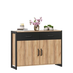 Techno LD.678210.000 Combination cabinet (Oak Gold/Black )