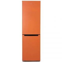 Refrigerator-freezer "Biryusa T880NF"