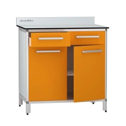 Cabinet for storage of medicines according to TU 32.50.30-007-32924160-2021, article number DM-2-109-04.K2.?2.