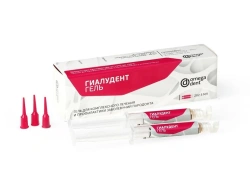 Gel for complex treatment and prevention of periodontal diseases "Hyaludent Gel"