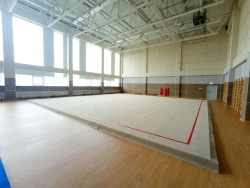 Rhythmic gymnastics carpet