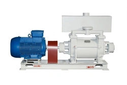 Water ring vacuum pump 2???-6?(?)