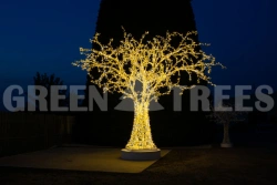 Christmas Light Displays