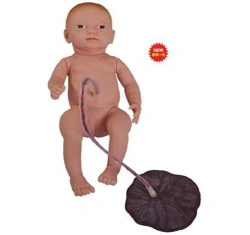 Newborn model with umbilical cord, 132