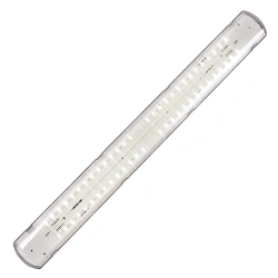 LED luminaire INTEKS Prom-50