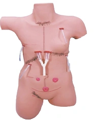 Mannequin with various postoperative sutures, stomas, LV18