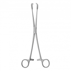 TSH-04-166-26 Double-toothed forceps, sharp, straight, 260 mm