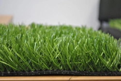 Artificial grass Optigrass MonoSport 60 MF