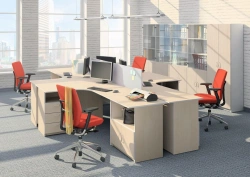 Wooden office shelving units: Budget" collections