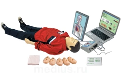 Spring-mechanical cardiopulmonary and cerebral resuscitation simulator with correctness indication, test p