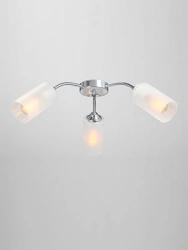General purpose fixed luminaire V3758/3PL