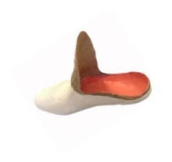 Orthopaedic footwear for foot residual limbs (inlay shoe), without insulated lining