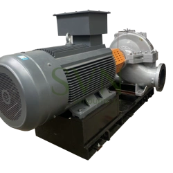 SVN D double-entry pump