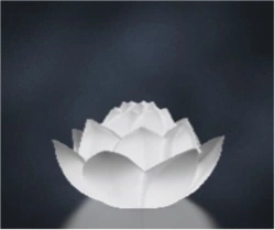 Lotus luminaire, article 210