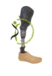 Modular tibial prosthesis, including underdevelopment PN3-M