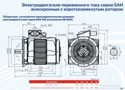 5AN 315 series AC asynchronous squirrel cage electric motors with power more than 75 kW, but not more than 375 kW.