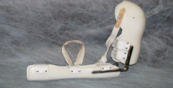 Elbow and shoulder joint apparatus