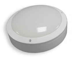 LED Luminaire Housing and Communal Services Maxi-25 (BIEA.676279.009)