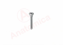 Cortical screw