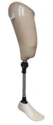 Hip prosthesis for therapeutic training PN-BL