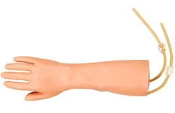 Hand and forearm model for injection, blood transfusion, S4A IV