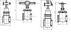 Wedge gate valve ??