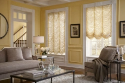 Austrian window curtains (lifting curtains with rings)