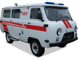 Car UAZ- 396223-120-01