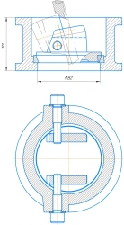 Butterfly check valve DN 80