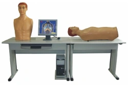 Intelligent cardiopulmonary and abdominal examination training system, GF