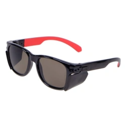 O80 Zebra StrongGlass safety glasses, article no. 18027-03