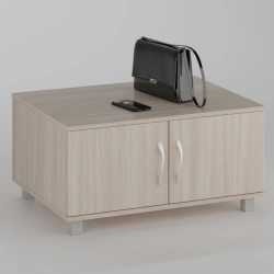 Work bench drawer with 2 doors