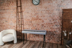 Author's digital piano Caldera F20