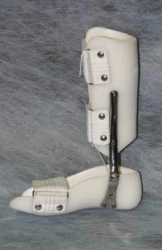 Ankle and knee joint apparatus