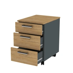 Drawer unit