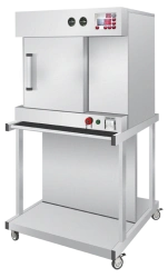 Steam steriliser with automatic control PHS (PHS) -100