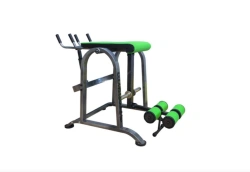 DT - 060 Reverse Hyperextension