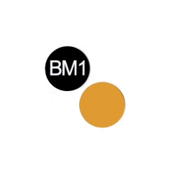 Fluorescent alignment target BM1-4