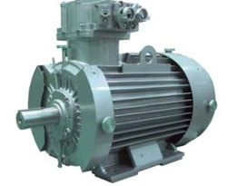 Explosion-proof three-phase asynchronous motors with squirrel cage rotor with rotational axis height 315. power more than 37.5 V