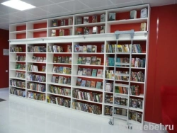 Shelving unit sectional with ladder/ST-3