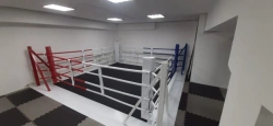 Floor boxing ring